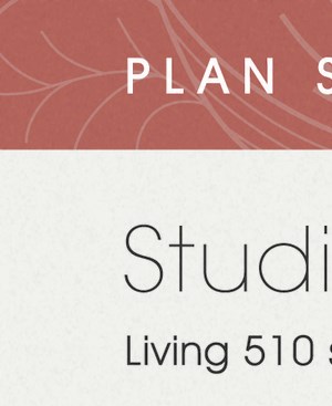 Plan S1